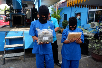 Sita 10 Kg Ganja Kering, BNNP Amankan Pasutri di Ekspedisi Bus